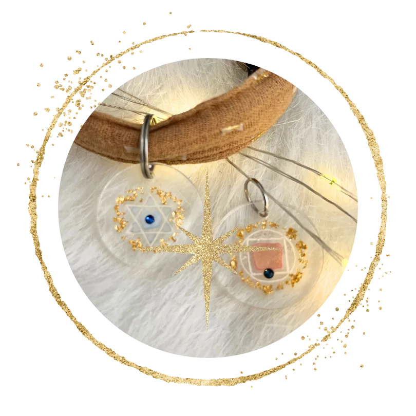 Médaille vibratoire personnalisée pour animaux – Image 4