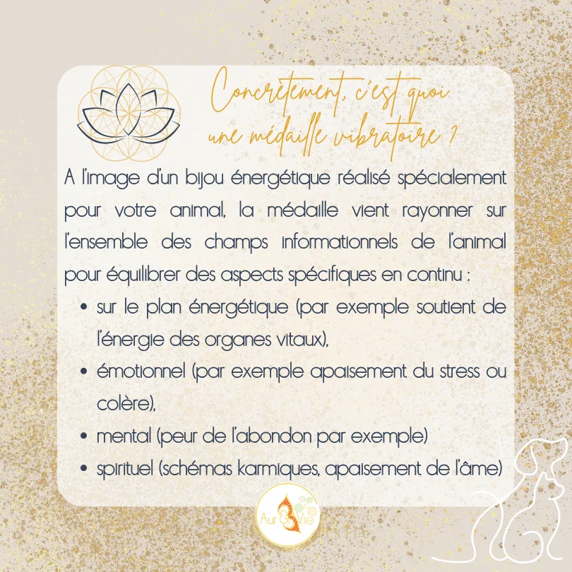 Médaille vibratoire personnalisée pour animaux – Image 7